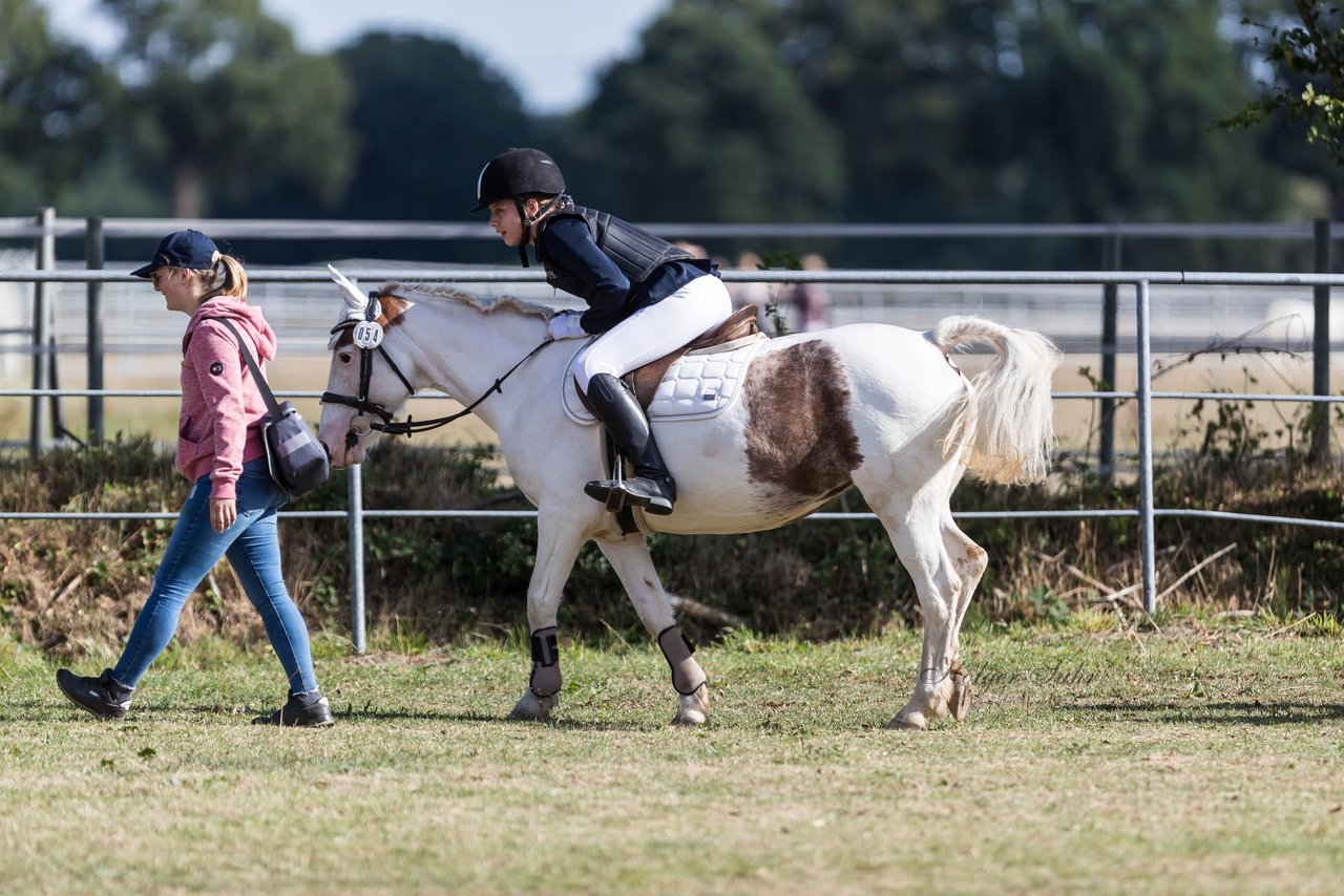 Bild 5 - Pony Akademie Turnier